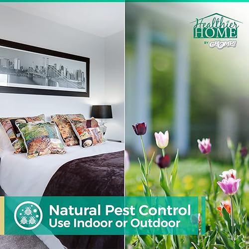 Miniatura 3 de CHOMP! Aerosol para chinches de cama, paquete de 3, tamaño de viaje, natural, mata insectos a base de plantas, control de insectos y plagas para el