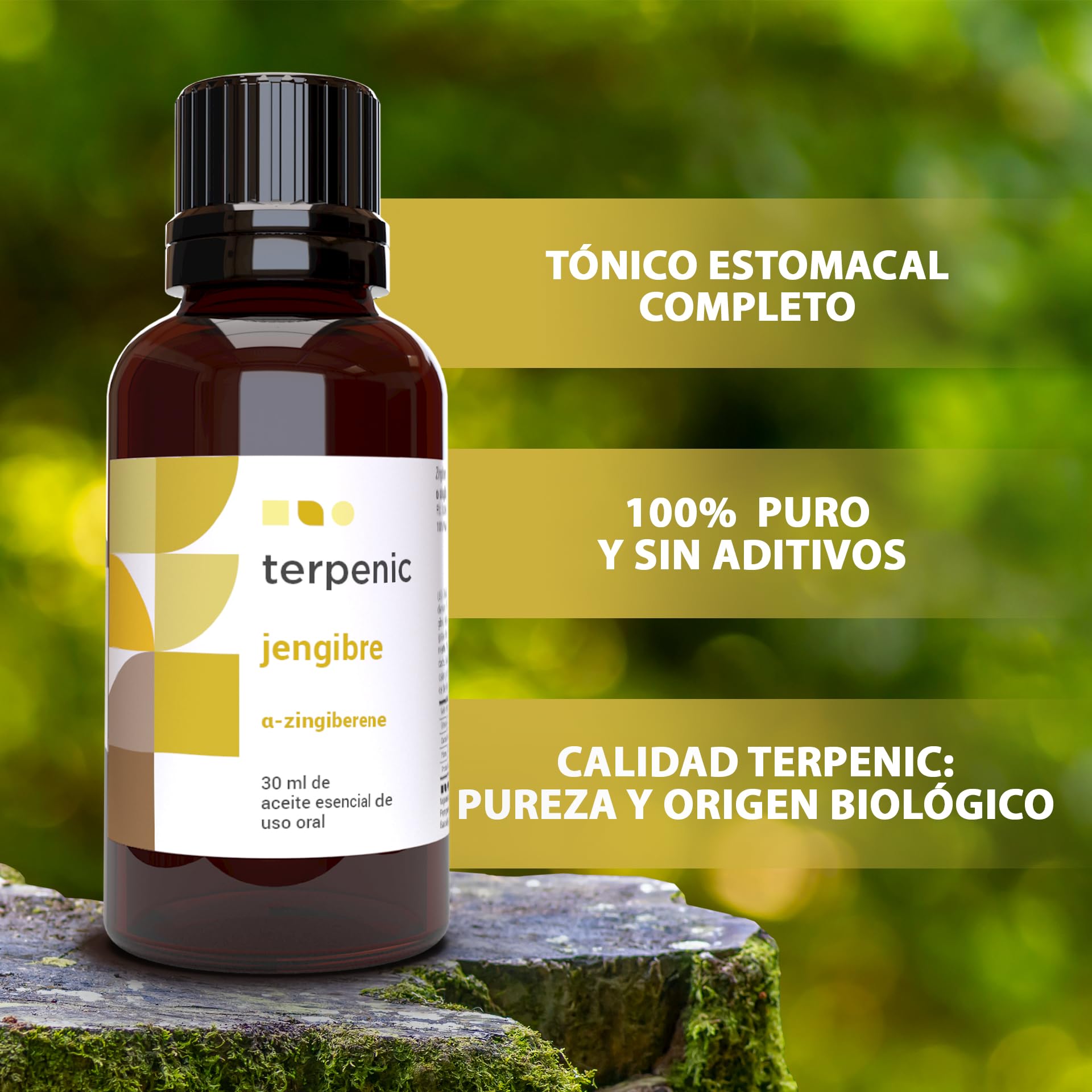 TERPENIC – Aceite Esencial de Jengibre (Zingiber officinale) – 30 ml – Uso Oral – Vitalidad y bienestar digestivo