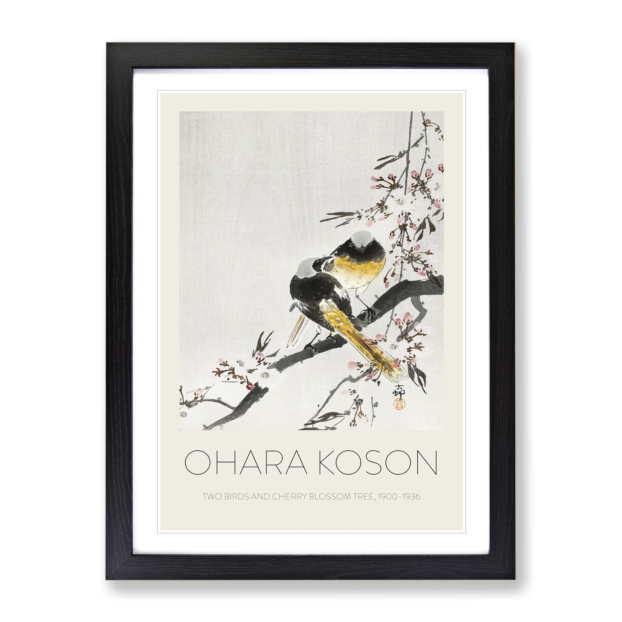 Two Sable Red Tails & Cherry Blossom By Ohara Koson Exhibition Museum Asian Japanese Framed Wall Art Print