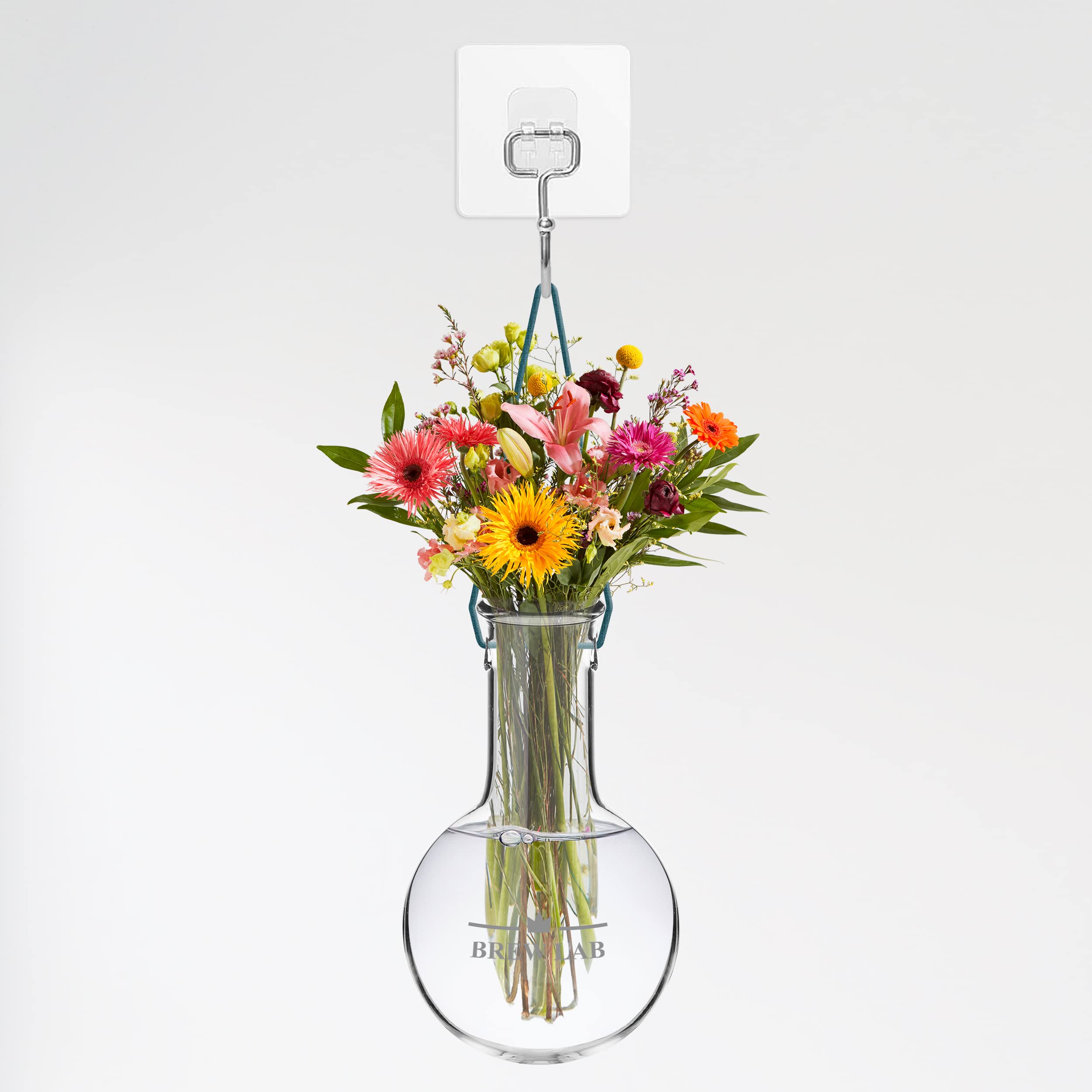 ECONOMICS EXPERIMENT/Blankmag/花瓶 Buy Brew lab Hanging Flask Pot