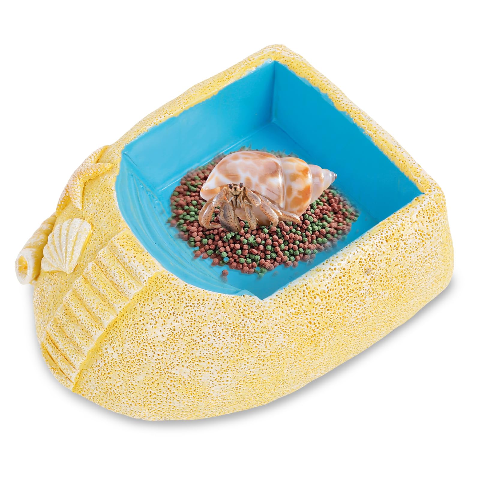 KTZCTPCA Hermit Crab Water Bowl, Reptile Water Pool with Climbing Ramp, Resin Hermit Crab Water Bathing Pool and Food Dish, Seashell Reptile Climbing Habitat Platform for Turtles Lizard Frog Gecko