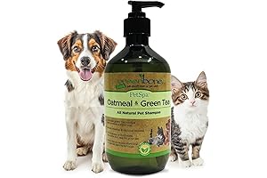 Pet Spa: The All-Natural Solution for a Refreshed and Rejuvenated Pet