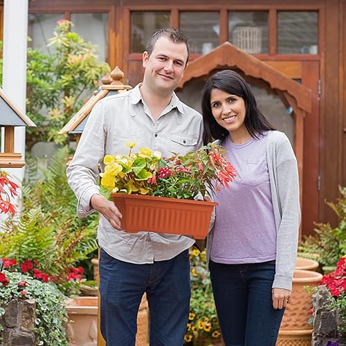 Miniatura 7 de HOXHA Paquete de 6 maceteros para ventana, 17 pulgadas de plástico para plantas con bandeja, macetas rectangulares para interiores y exteriores para