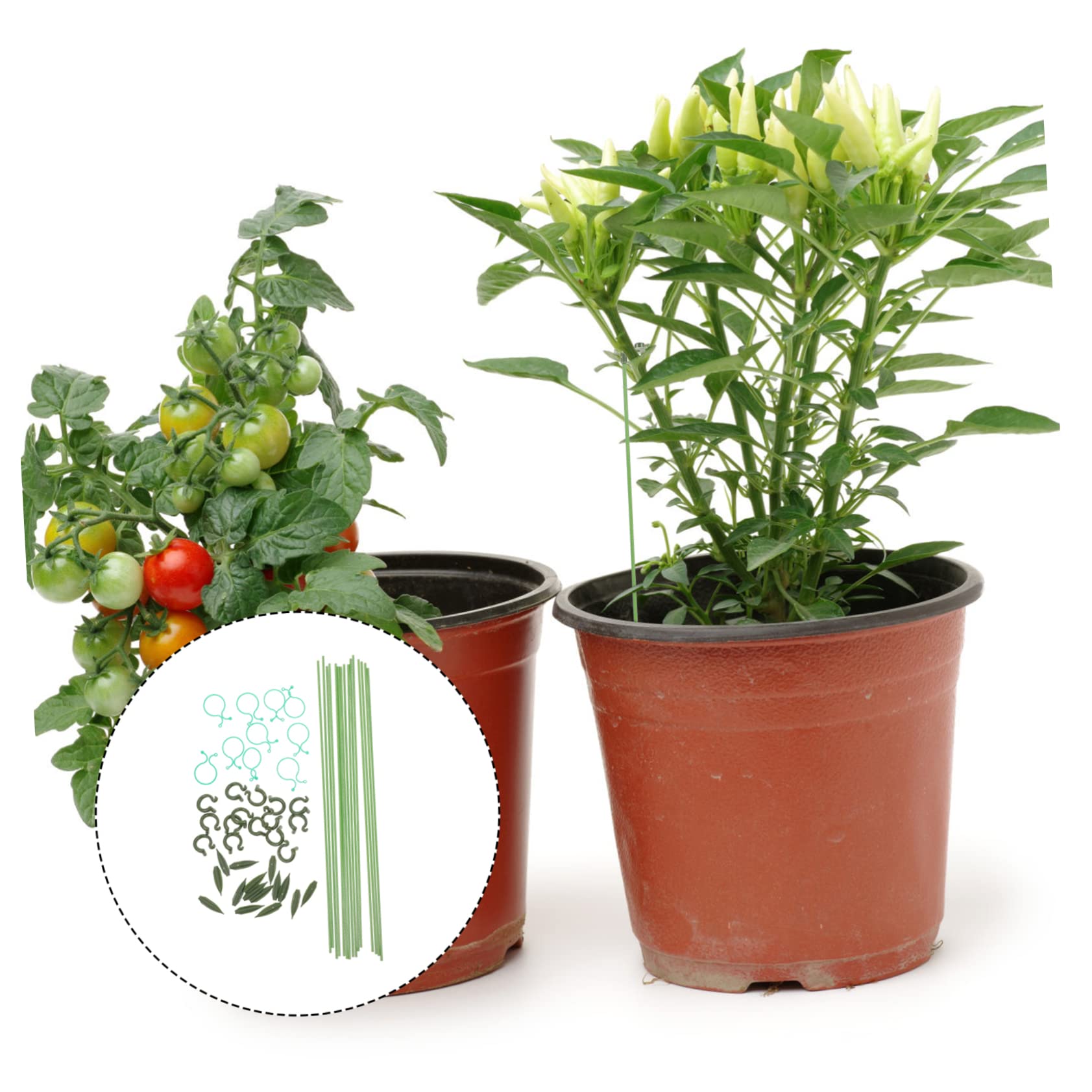 Toddmomy 3 Sätze Pflanzenstützrahmen Blumen- Anlage Pflanzenpfähle Stäbchen zur Unterstützung von Pflanzen Gitter Stützpfähle für den Garten Garteneinsätze kleine Gartenpfähle Plastik Grün
