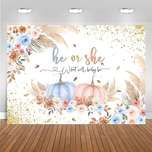 Mocsicka Fondo de calabaza para revelación de género de otoño, calabaza, baby shower, decoraciones de fiesta de Acción de Gracias, calabaza,