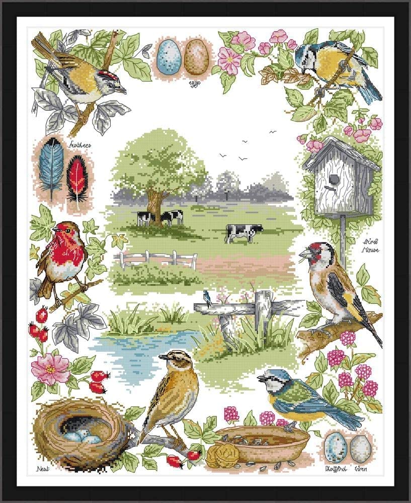 ABEUTY Printed Cross Stitch Kits for Adults The Ecology of Birds Animal DIY 14 CT Embroidery Sewing Starter Kit Stamped or Unstamped Needlework Home Decor