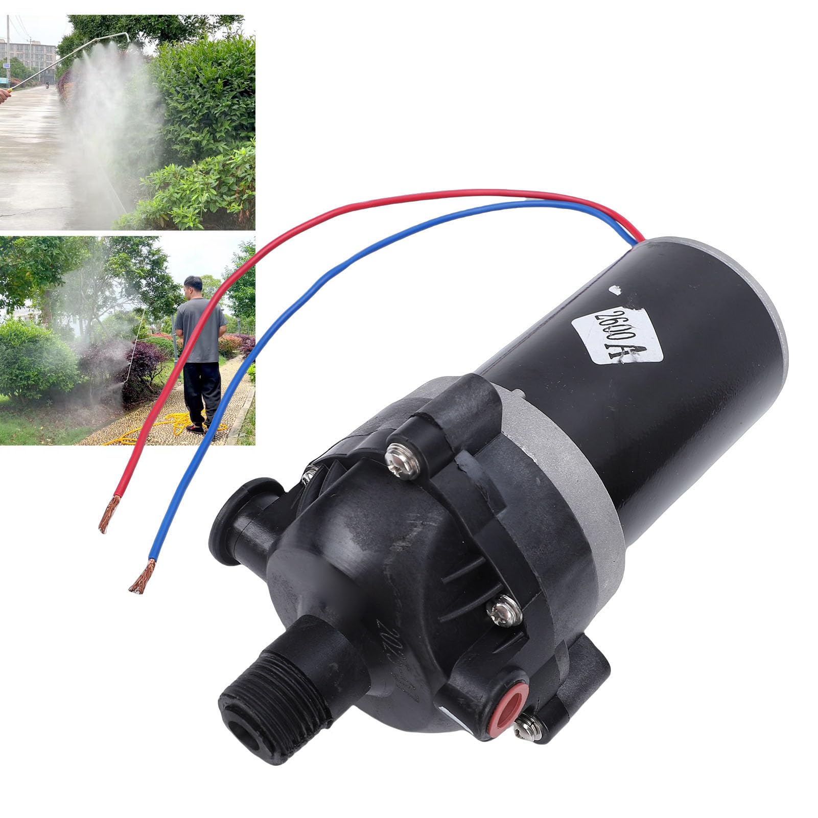 Domary Self Priming Diaphragm Pump Powerful 3 Cylinder for