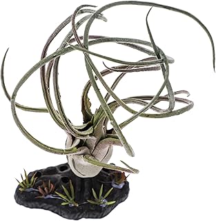 Ipetboom Ornamento De Planta De Réptil Plantas Artificiais Anfíbios Artificiais Para Ornamento De Planta Realista Plantas De Réptil Planta Falsa Plantas Falsas Para Répteis Caixa De Adorno