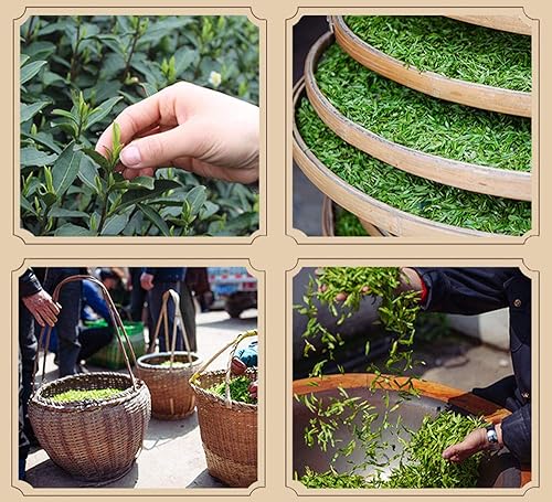 Miniatura 5 de Luxtea Té famoso chino - Grado AA (alto grado) (Xi Hu Long Jing (pozo del dragón del lago occidental))