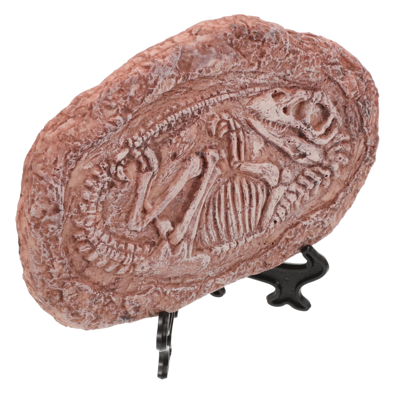 VANZACK Shop Lizard Habitat Decoration Dinosaur Specimen Stone Resin Decor Imitation Fossil