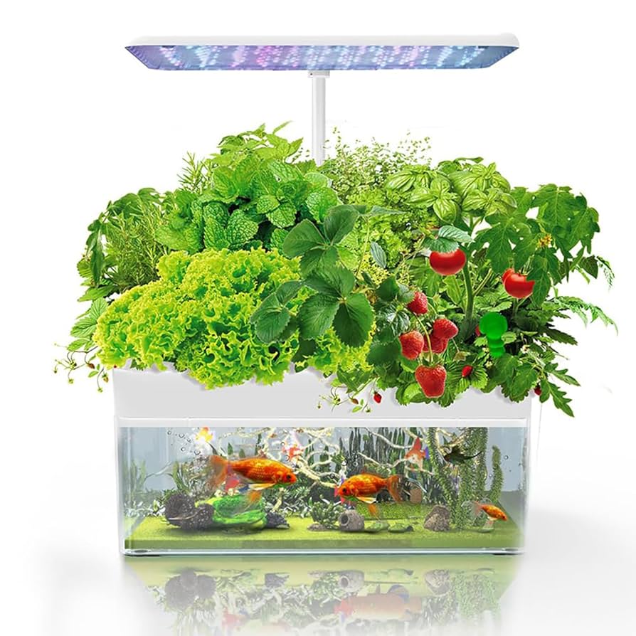 Fish Tank Hydroponics