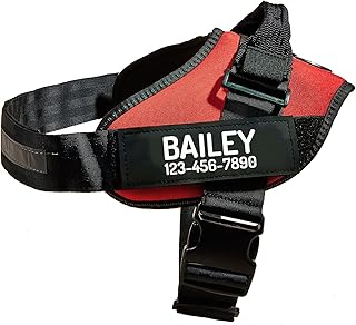 Personalized No Pull Dog Harness with Custom Name and Phone Number, Heavy Duty Medium Large Pet Vest to Prevent Tugging, Pulling, or Choking, Training and Walking