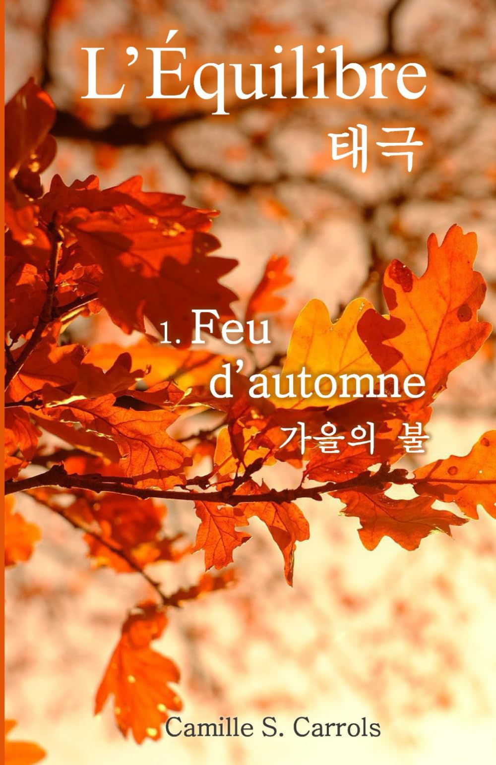 Feu d'automne (L'Équilibre) (French Edition)