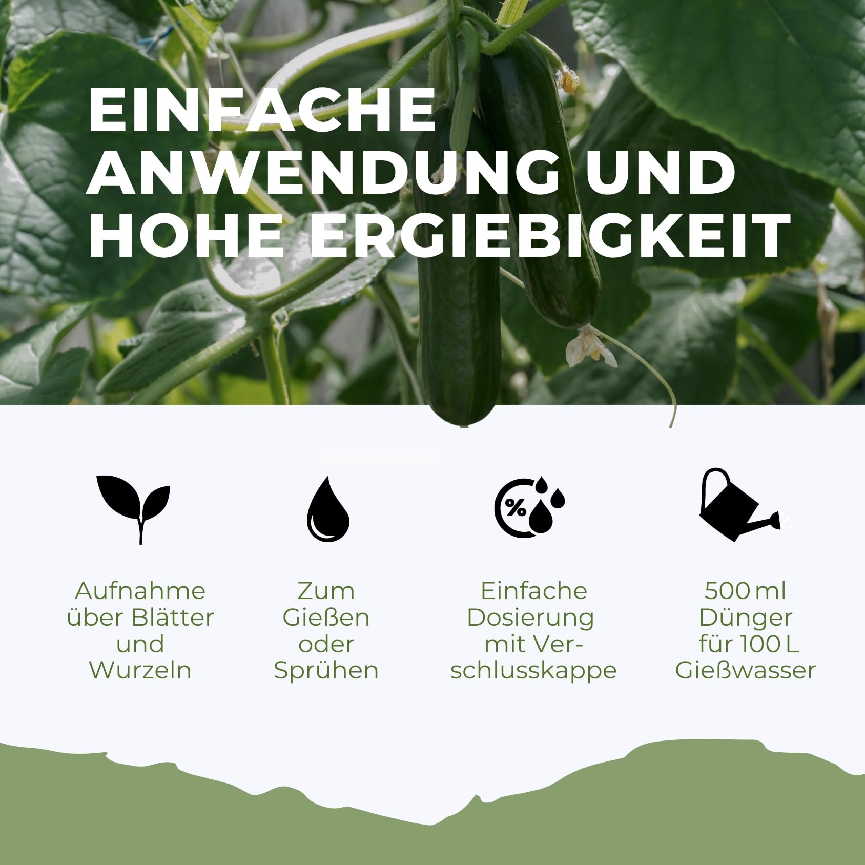 Flora Boost Gurken Zucchini Dünger Flora Boost 5000ml I Für bis zu 1000L Gießwasser I Gemüsedünger für Gurken & Zucchini I Flüssiger Blatt- & Wurzeldünger I 100% natürlicher Pflanzendünger