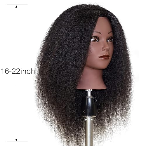 Miniatura 3 de ISHOT - Cabeza de maniquí de cabello humano, 100% cabello humano real, cabeza de entrenamiento de peluquería, cabeza de muñeca, cabeza de práctica