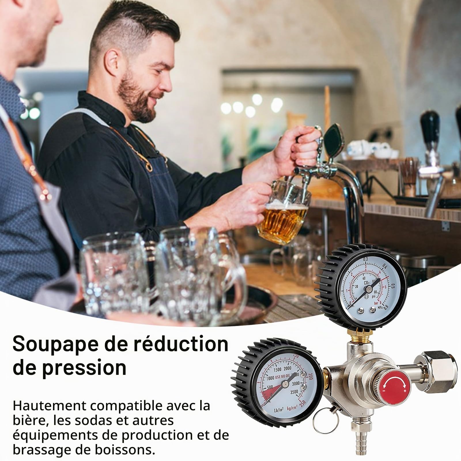 CO2 Réducteur de Pression, Réducteur de Pression du Système de Distribution de Bière avec 2 Manomètres Raccord W21,8 x 1/14" Régulateur de CO2 pour Système de Distribution de Bière