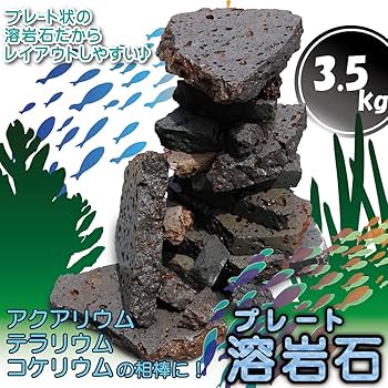 Amazon | ボルケーノロック 溶岩石プレート 水槽用 アクアリウム
