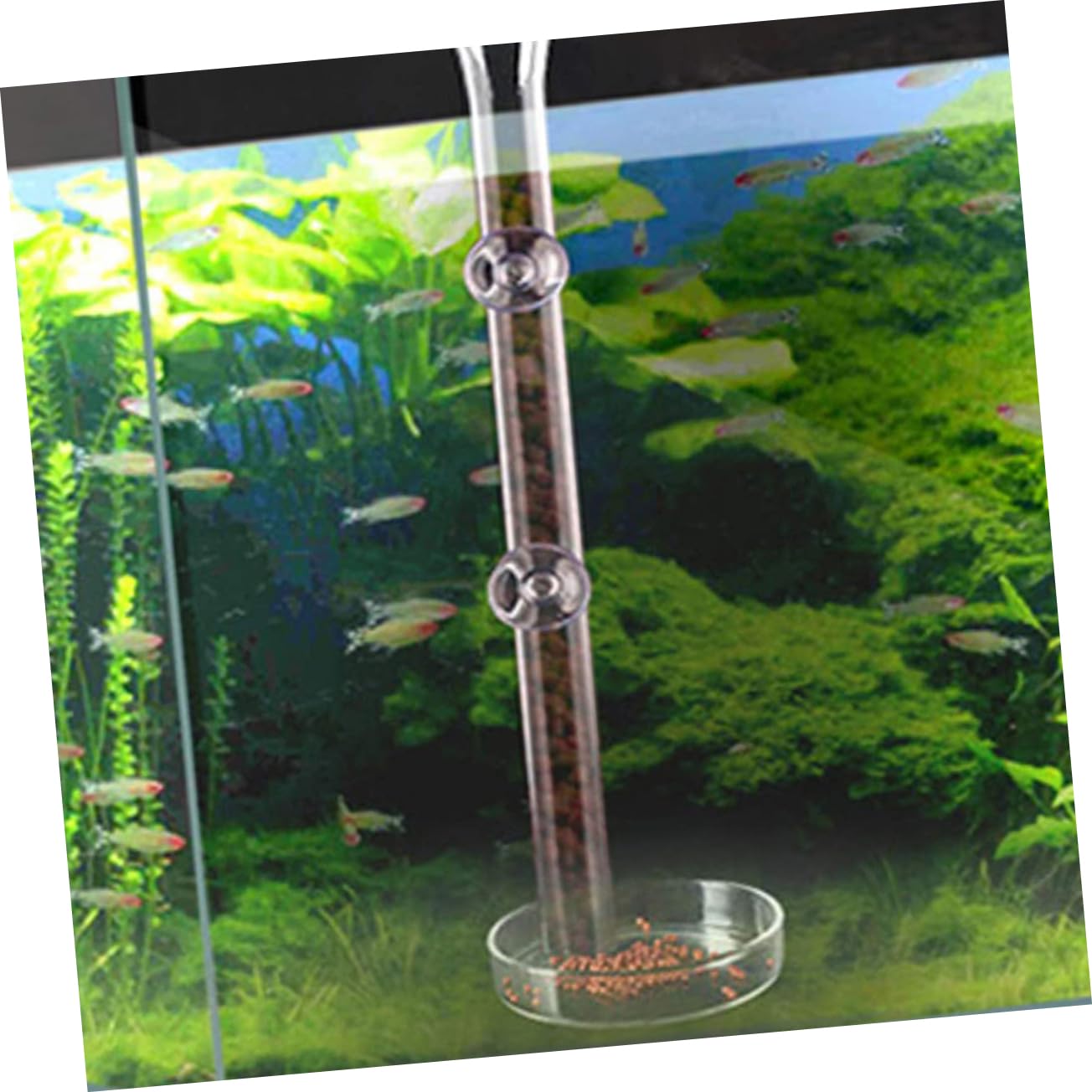 COSMEVIVI Practical Aquarium Feeder Tube Set Sturdy Acrylic Material for Fish Shrimp