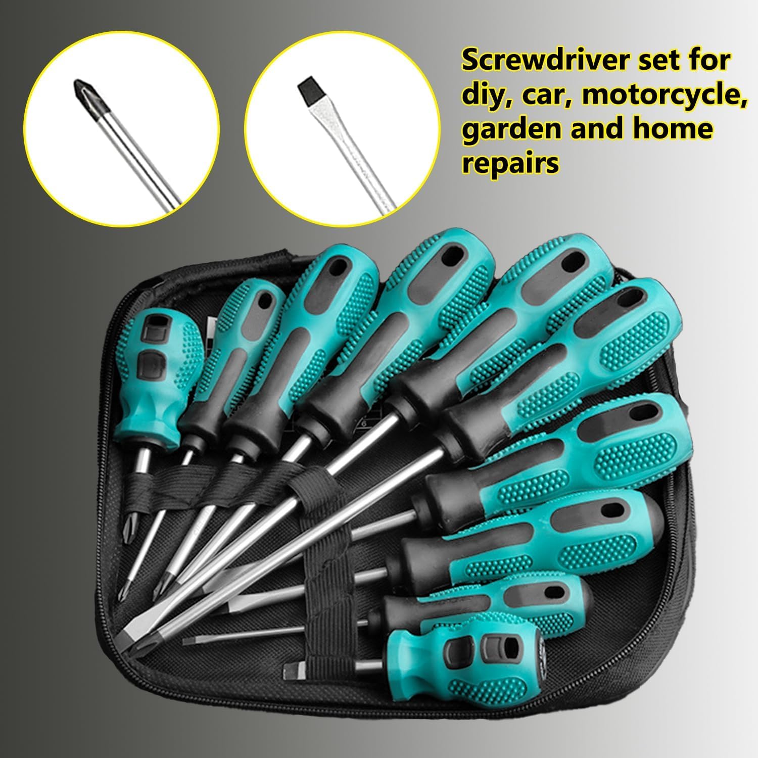 10 Pezzi Set Cacciaviti Magnetico Precisione, Set di Cacciaviti Professionali, Cacciavite a Stella e a Testa Piatta, con Magnetizzatore e Scatola di Immagazzinaggio
