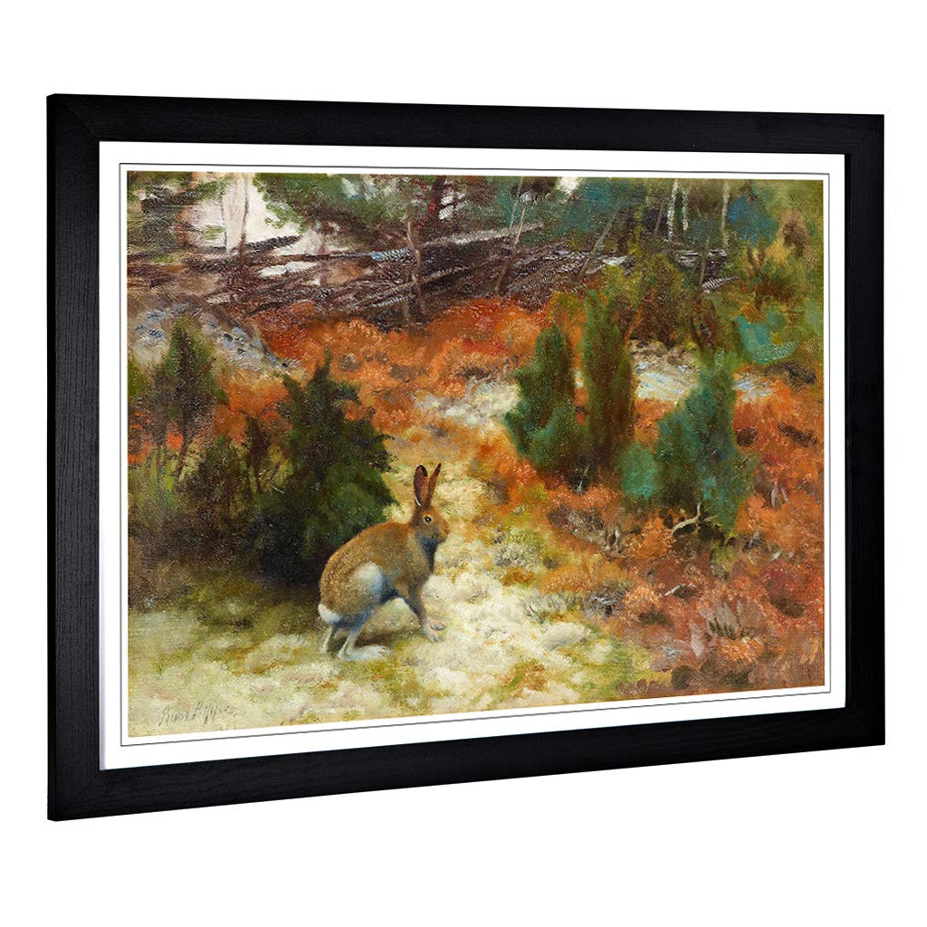 Big Box Art Framed Print of Bruno Liljefors Hare Rabbit Design | Wall Art Picture | Home Decor for Kitchen, Living, Dining Room, Bedroom, Hallway, Office, Black, A2 / 24.5x18 Inch / 62x45cm