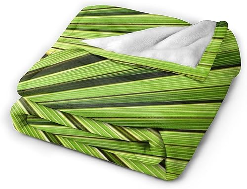 Miniatura 10 de Manta de dragón de rayo morado, regalos para adultos y niños, manta de franela de fantasía, suave, cómoda, ligera para decoración del hogar, sofá,