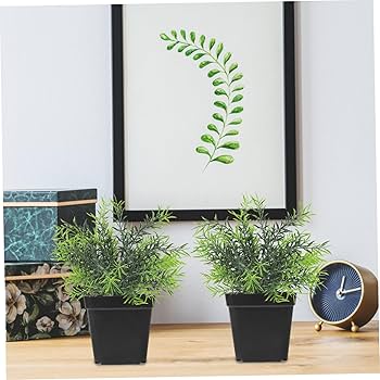 Amazon.co.jp: OFFSCH 100個 多肉植物ポット スクエアプランター