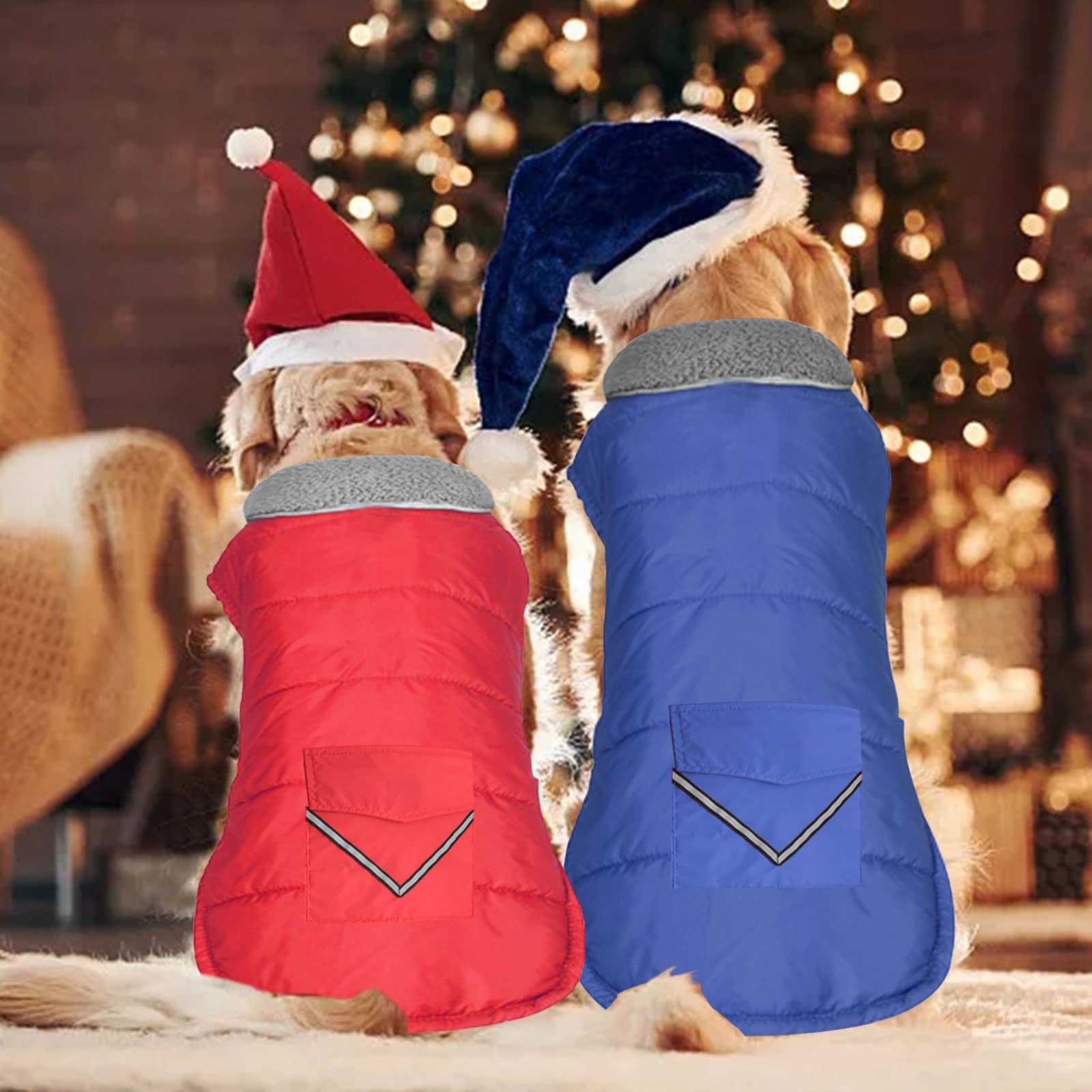 Petglad Cappottino per cani, giacca invernale impermeabile con tasca, riflettente regolabile, gilet da neve per animali domestici, caldo e accogliente maglione in pile per cani di taglia piccola
