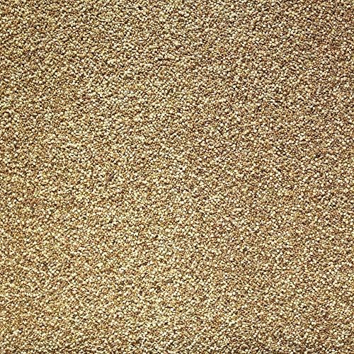 Johnston & Jeff Foreign Finch Seed 3Kg : Amazon.co.uk: Garden