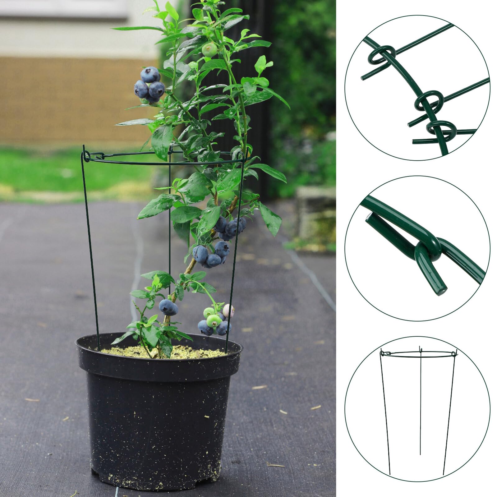 LALAFINA Lot de 3 Tuteurs de Jardin en Fer Robustes Verts 25/40 Cm pour Plantes Grimpantes, Supports Polyvalents pour Pivoines et Fleurs D'intérieur, Treillis Compacts sans Outil