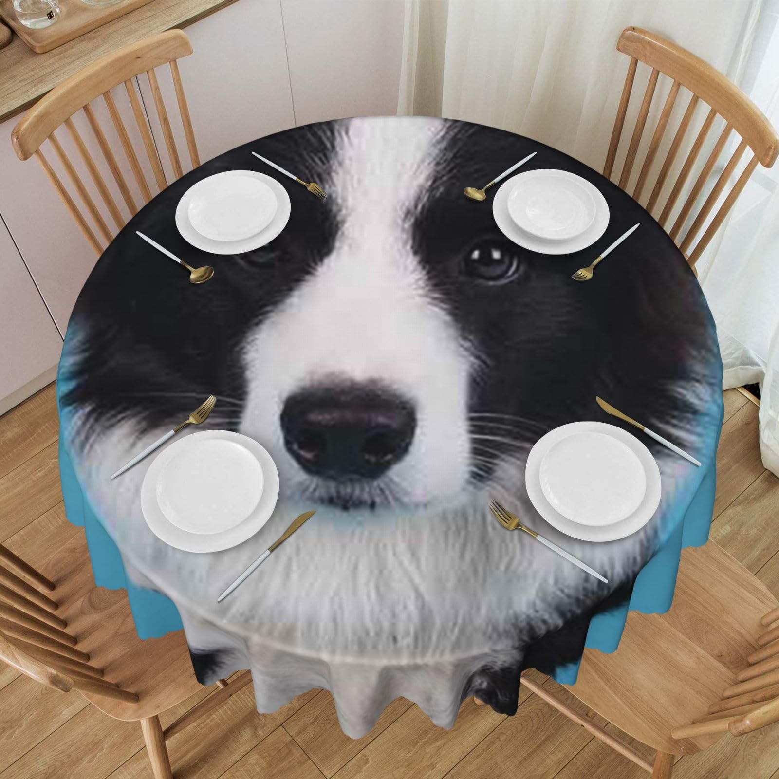 DCEHGEW 60 In Round Tablecloth with Lace, Border Collie Printed Oilproof & Washable Fabric Picnic Table Cloth Table Covers
