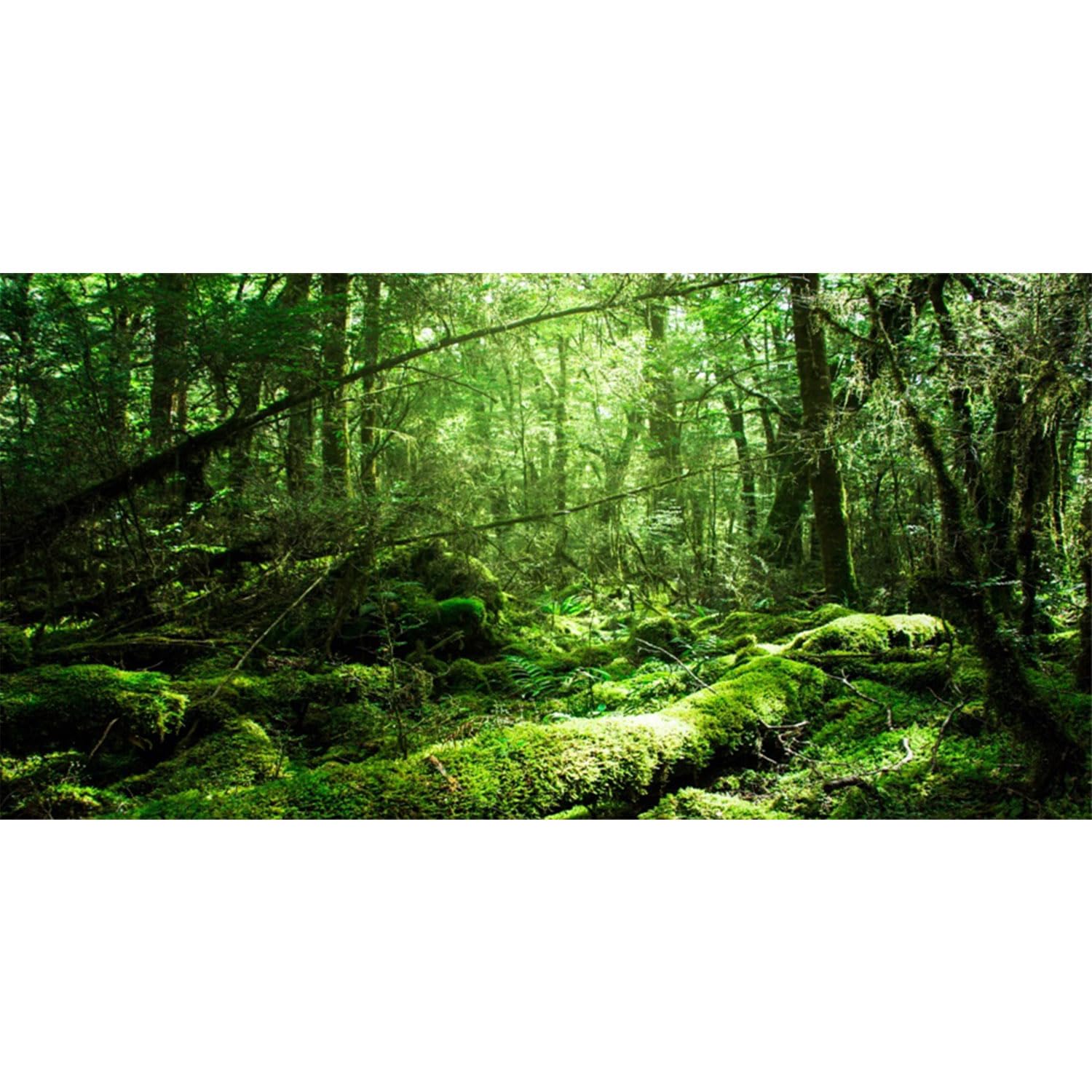 AWERT 30x12 inches Tropical Terrarium Background Rainforest Aquarium Background Green Tree Reptile Habitat Background Vinyl