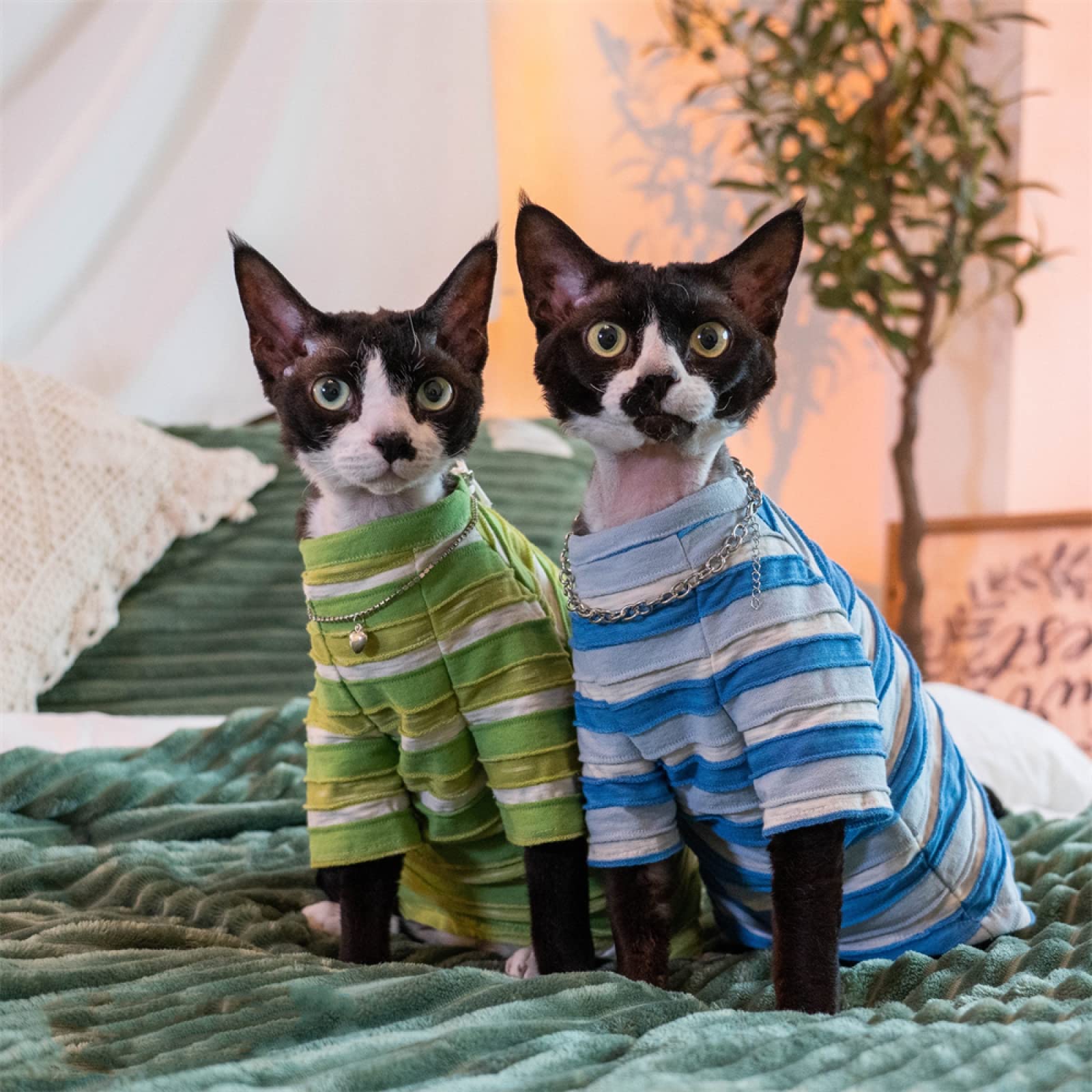 YAOER Katzenkleidung Für Haarlose Katzen - Baumwolle Sweatshirt Für Sphinx & Devon Rex