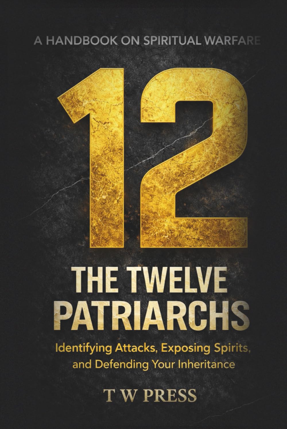 The Twelve Patriarchs: A Handbook on Spiritual Warfare : Identifying Attacks, Exposing Spirits and Defending Your Inheritance