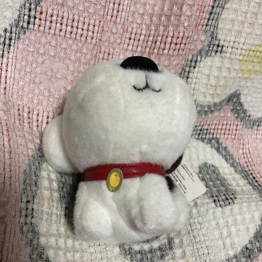 サンアロー　リトル・チャロ　ぬいぐるみ　 2008 希少 サンアロー リトル・チャロ ぬいぐるみ 2008 希少