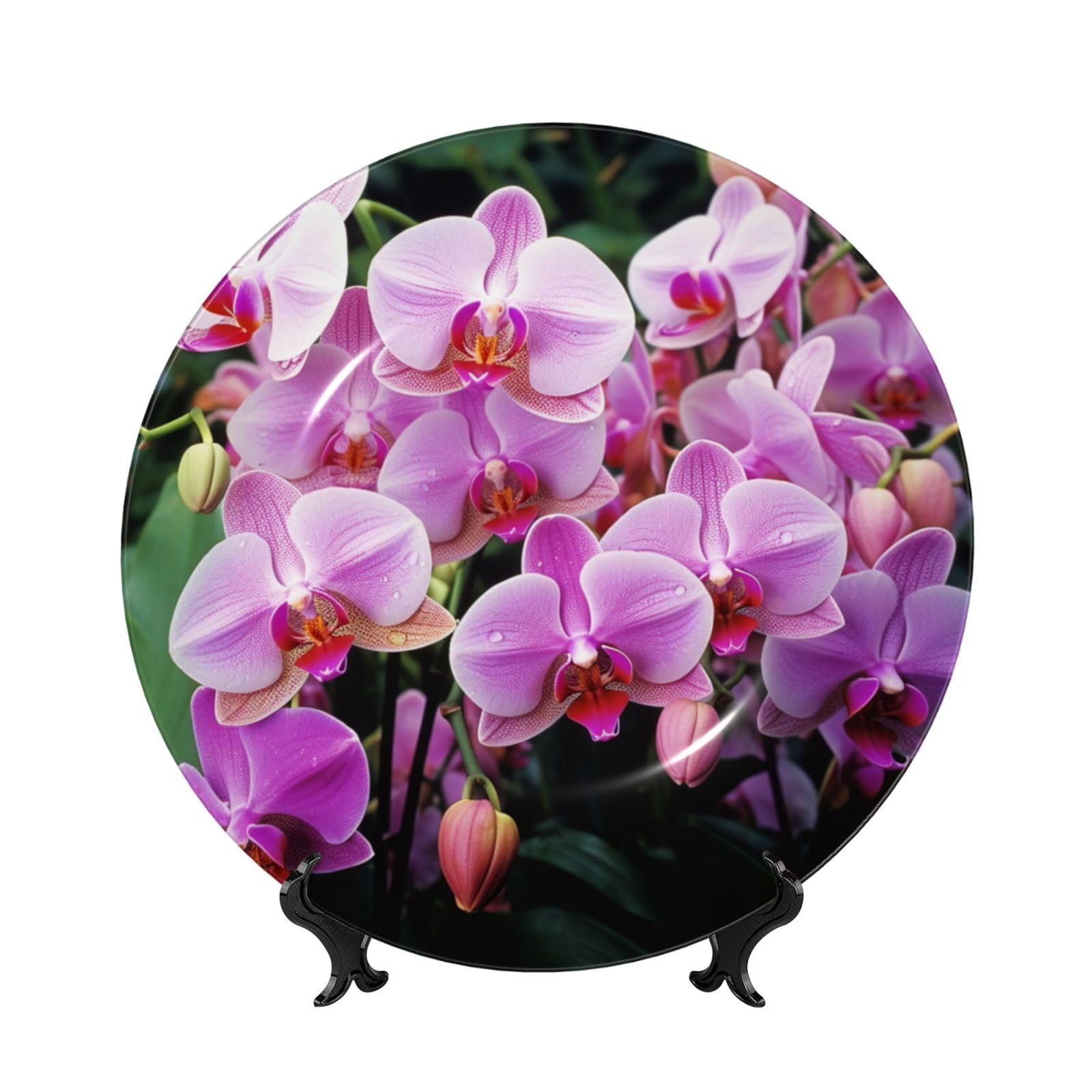 Assiette décorative en porcelaine anglaise faite main, élégance 25 cm pour salon
