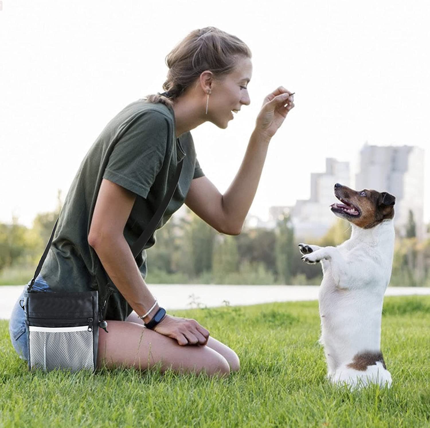 Amazon.co.jp: 【Charming Decoration】トリーツポーチ 犬用 ウエスト