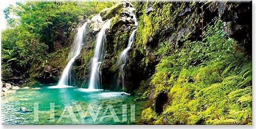 Panorámica Hawaiian Arte coleccionable Imán para nevera – Esmeralda Falls by Monica & Michael Sweet