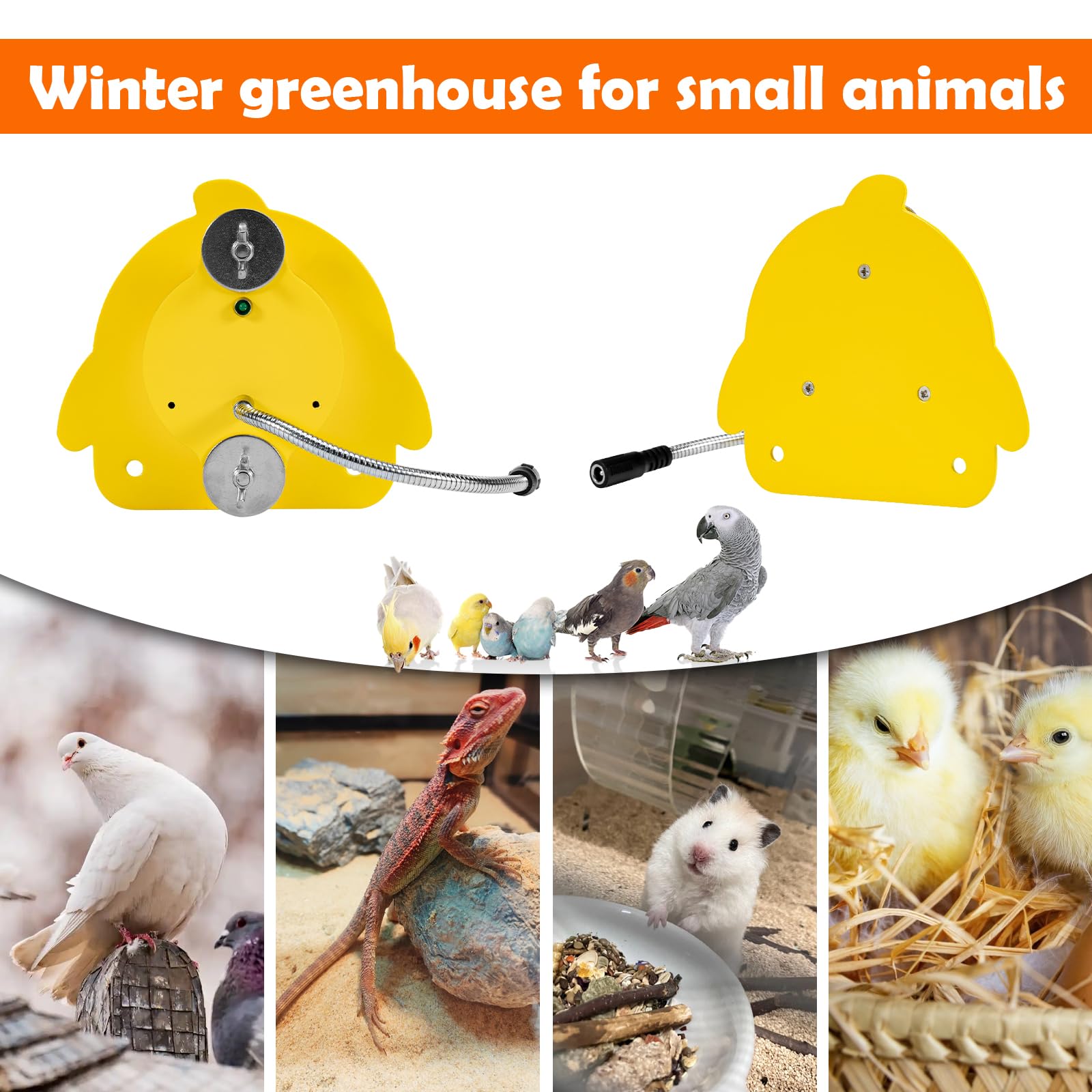 Calentador de pájaros para jaula, calefactor de pájaros con soporte de pájaros, calefacción termostática del gallinero, 12 V, calefacción para pequeños animales, loro, pollito, hámster