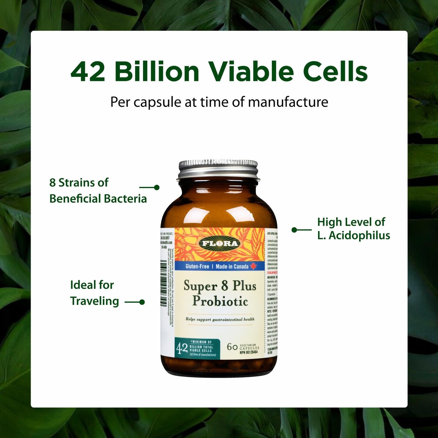 ダイエットサプリ FNZYM FRORA plus Flora Health Super 8 Plus Probiotic - 42 Billion CFU, High Potency