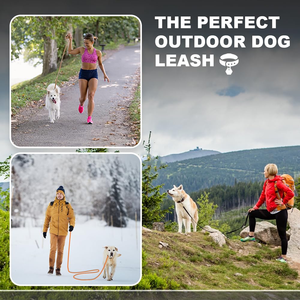 Longe pour Chien,Laisse pour Chien avec poignée et Sac de Rangement, Laisses de Dressage étanches pour Chiens,1.5m/3m/5m/10m/15m Longe Robuste pour Petits, Moyens et Grands Chiens