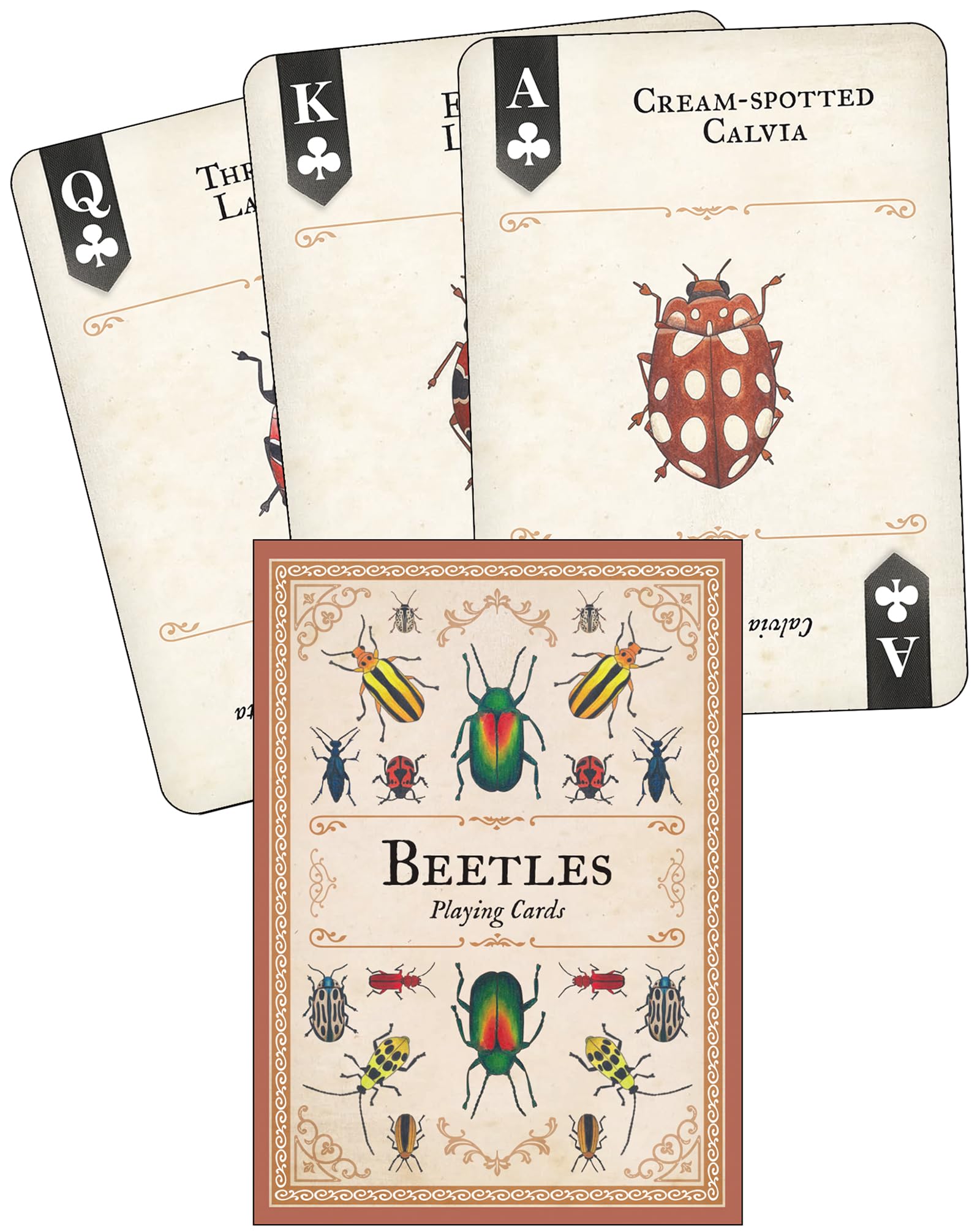 Beetles Playing Cards (Art of Nature)