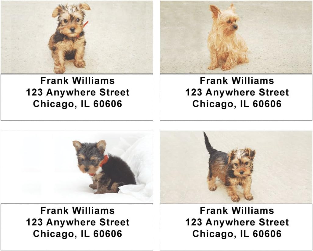 Yorkie Pups Address Labels