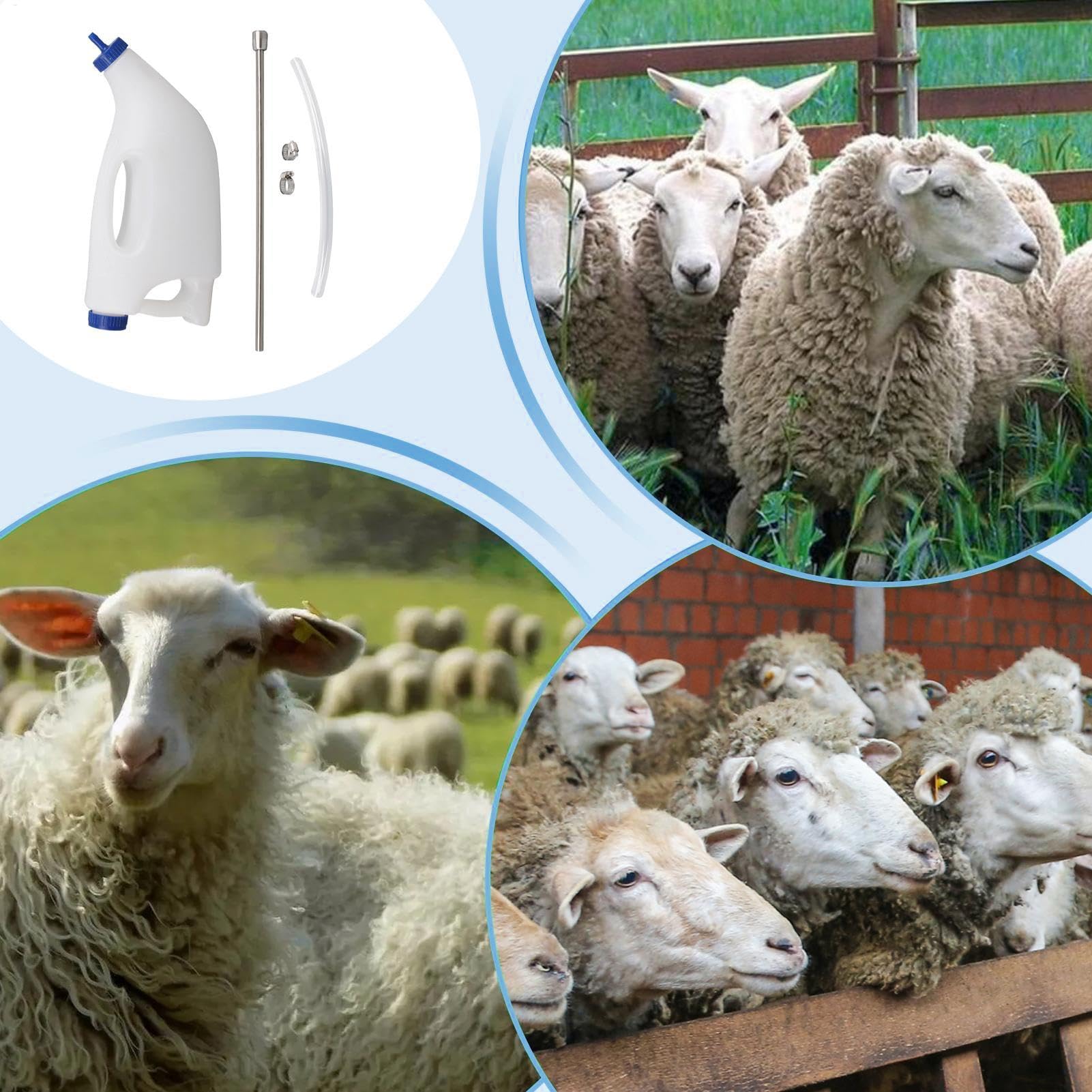 Biberon pour Veau, Mouton, Agneau | 4 L - Mangeoire pour Veau et Vache - Tube d'alimentation pour Animaux de la Ferme - pour Nourriture, Allaitement, chèvres, agneaux, Chiots