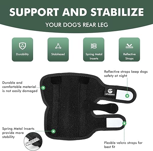 Miniatura 10 de Tobillera de pierna trasera para perro para desgarro ACL y CCL, soportes para piernas de perro para pierna trasera con inserciones de resorte