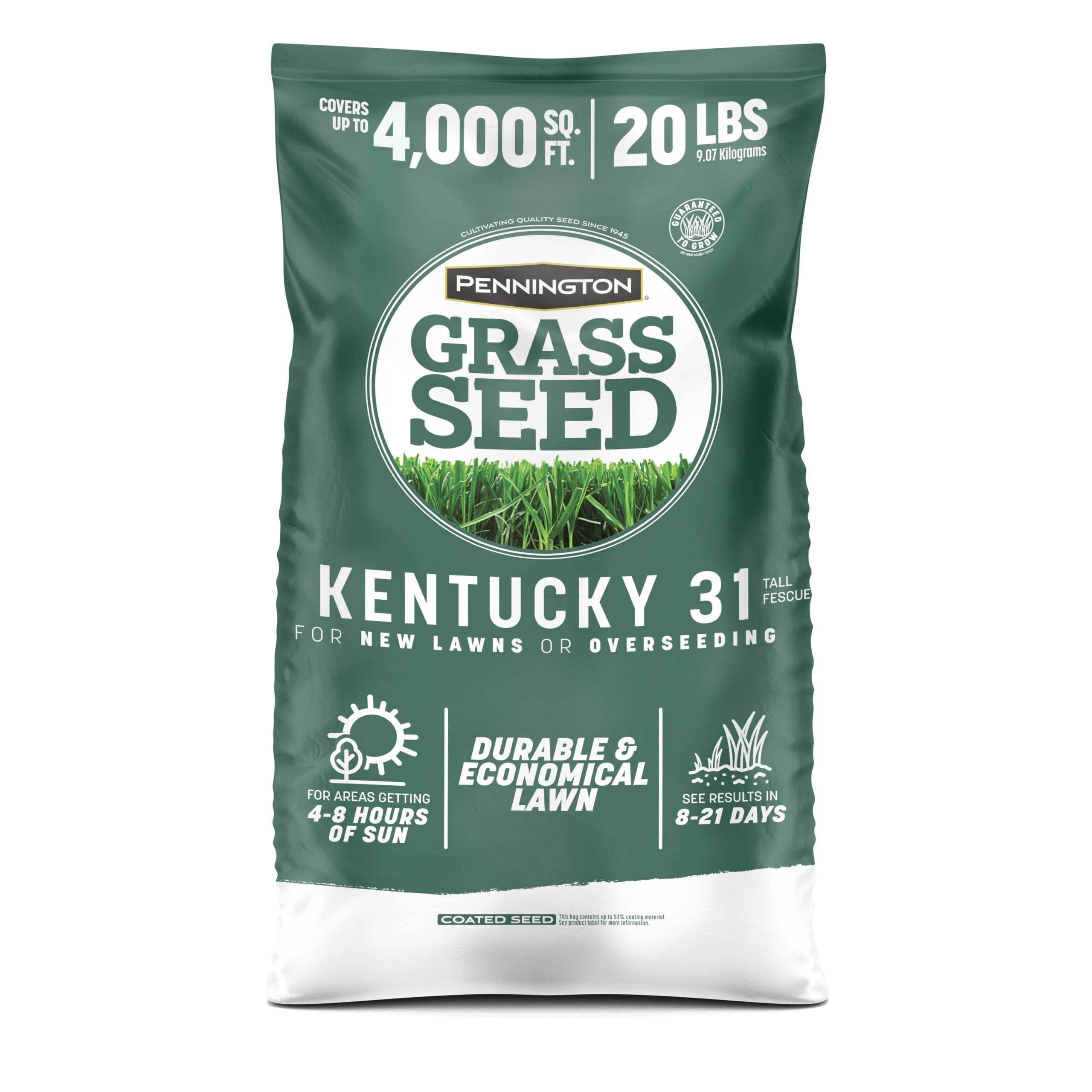 Kentucky 31 Tall Fescue Grass Seed 20 lb