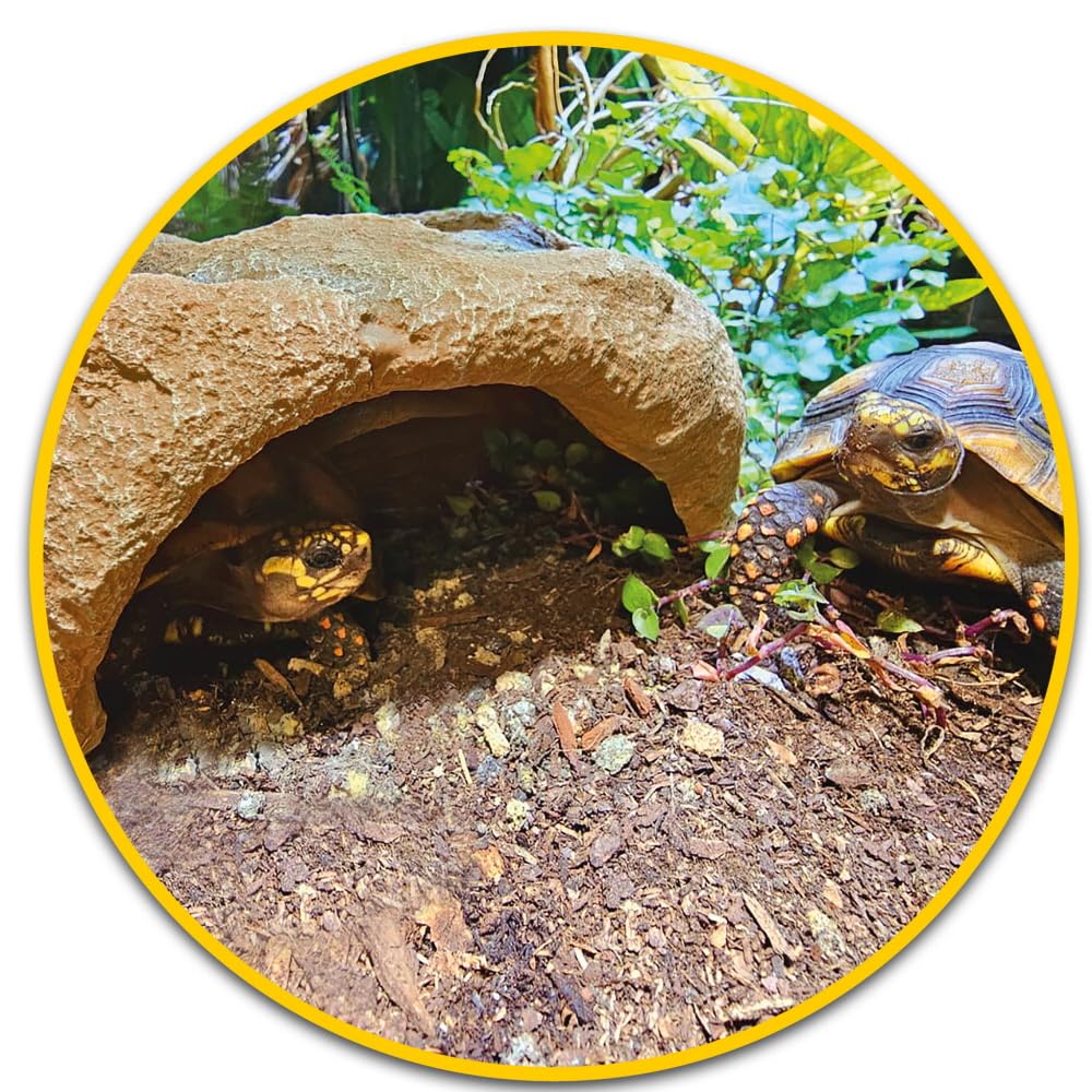 Mojave Cave XL, Höhle für Terrarien