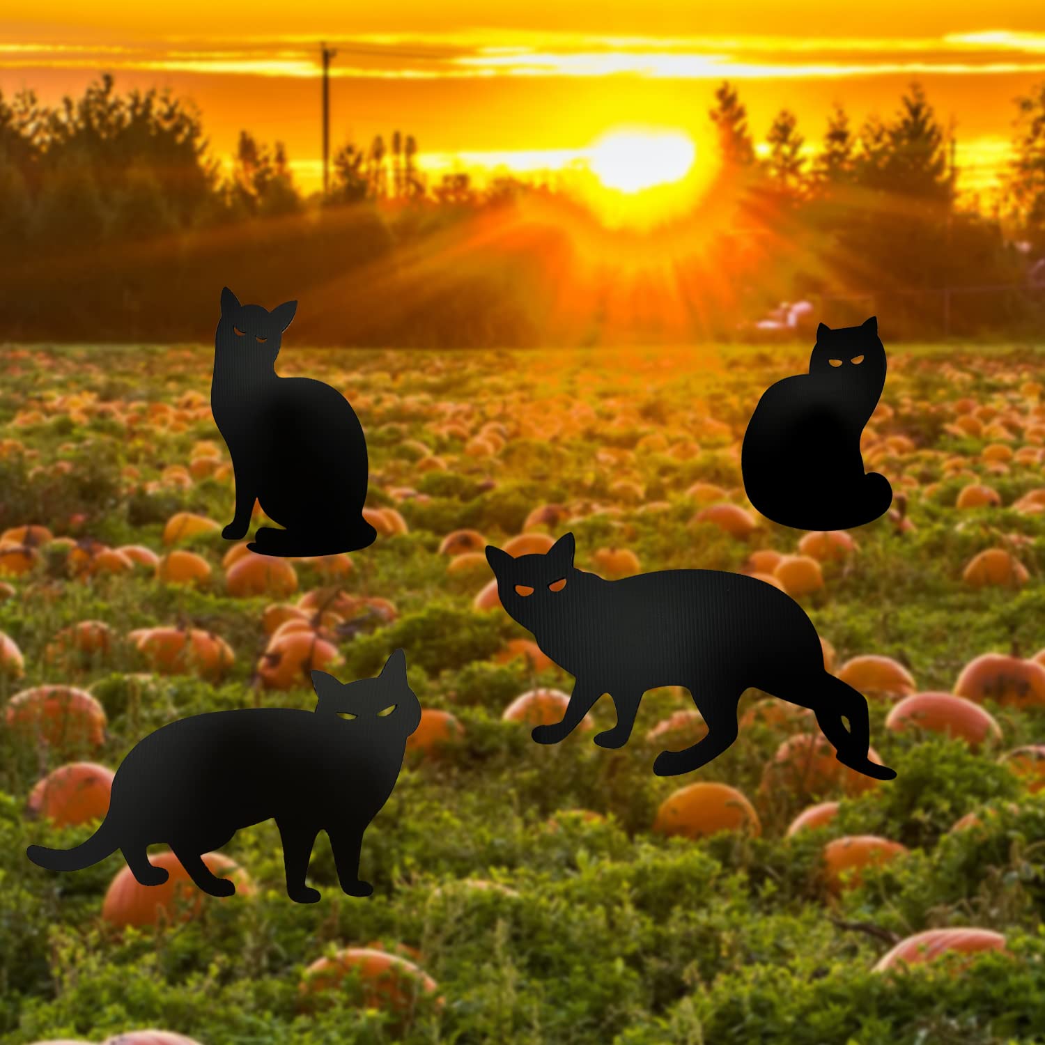 黒猫 ハロウィン デコレーション アウトドア ハロウィン 黒猫 庭 サイン Amazon.co.jp: 黒猫 庭 サイン 4個 ハロウィンデコレーション ハロウィン