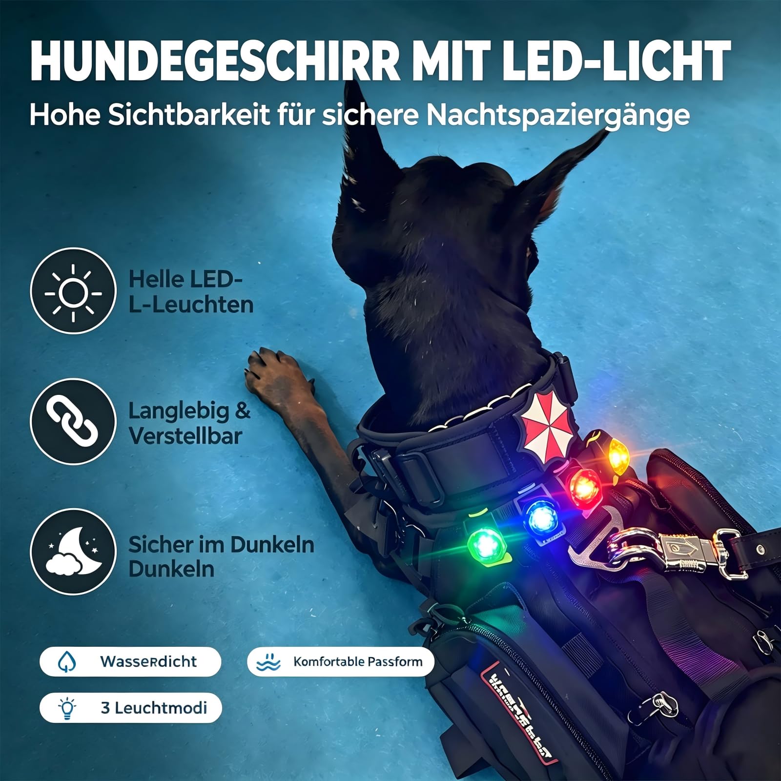 LaRoo Luz LED intermitente de seguridad para perros, gatos, luz LED colgante, llavero con 3 modos de parpadeo, luz de seguridad para pasear con el perro y deportes al aire libre, recargable, All,