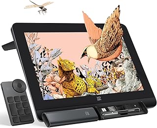 Drawing Tablet with Screen 2.5K - XPPen Artist Pro 16 2nd QHD Graphic Drawing Monitor, 16K Pressure Level Pen Display with...