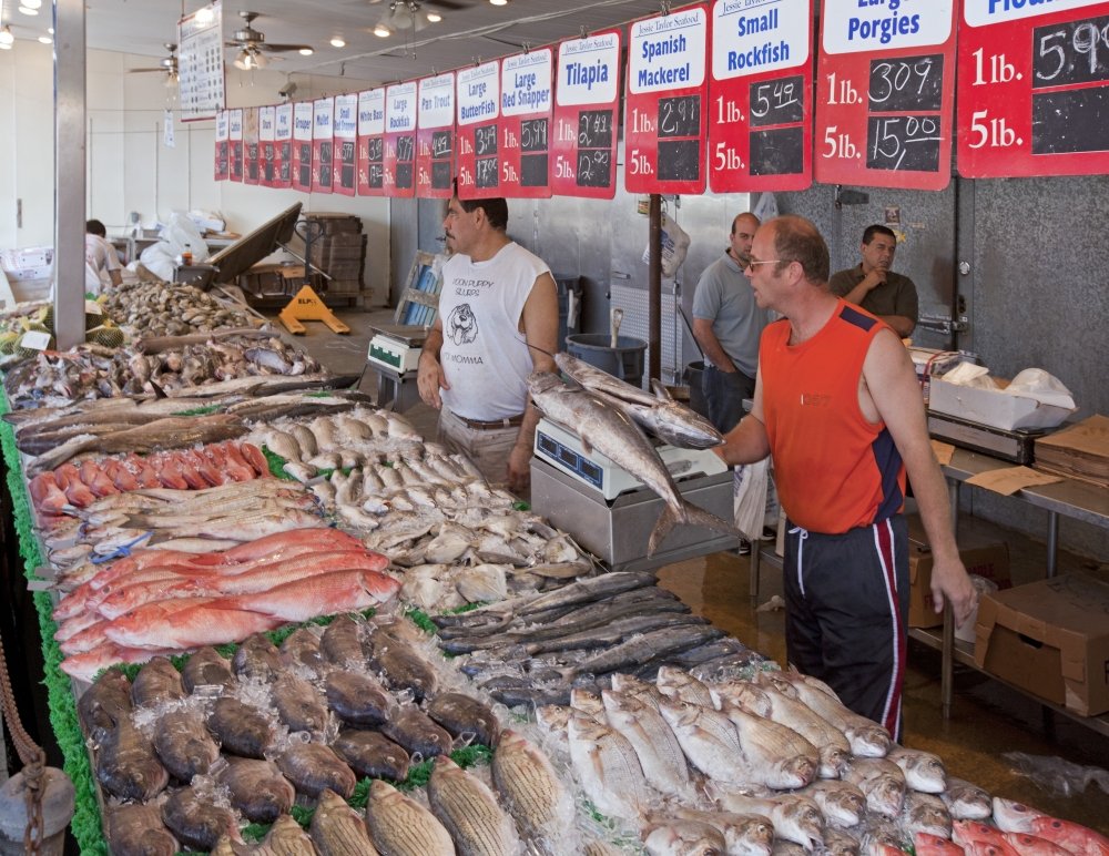 Poster di pesce sul ghiaccio in vendita, 24 x 36 cm